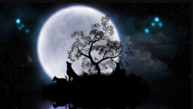 Moon:Og4alzgmvog= Wallpaper:1fgcv1egh8u= Wolf