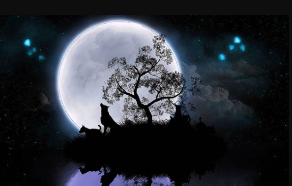 Moon:Og4alzgmvog= Wallpaper:1fgcv1egh8u= Wolf