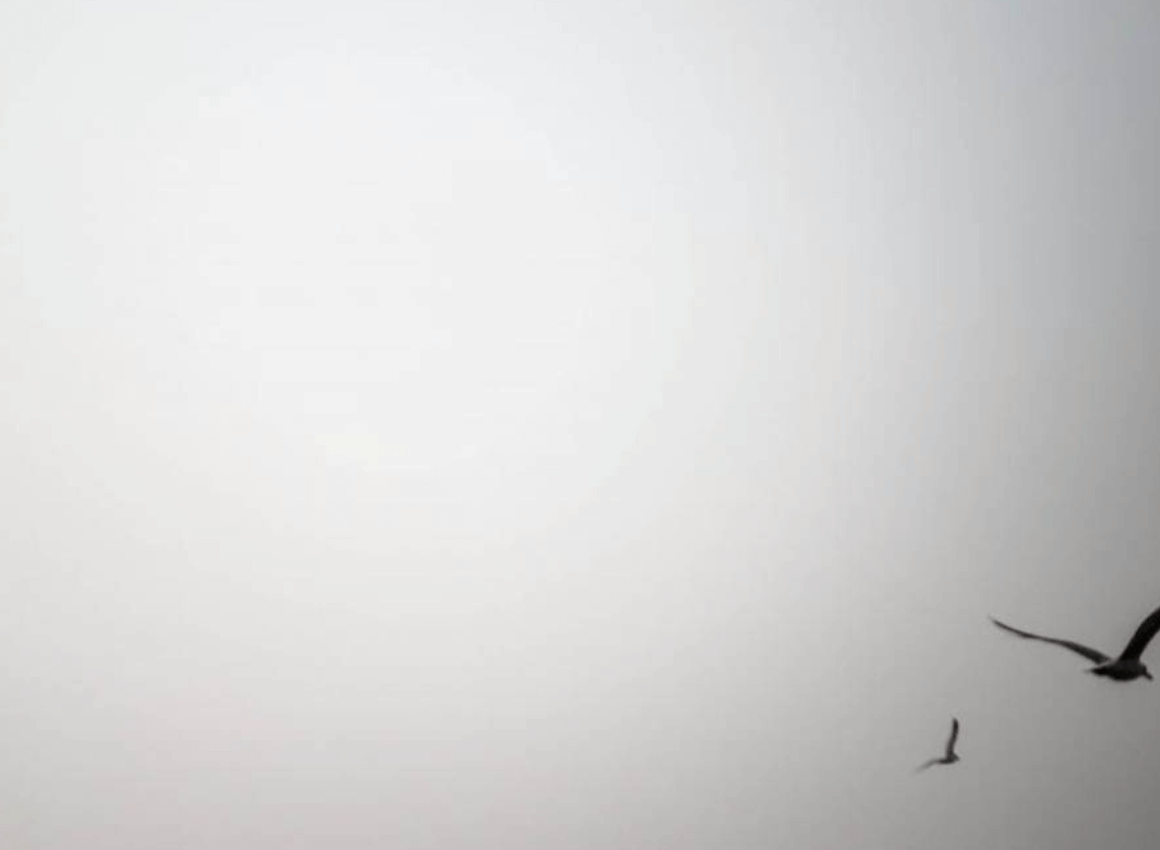 Wallpaper:_Pbfqibyfcu= White Screen