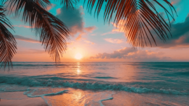Wallpaper:8d3jmqeknd0= Beaches