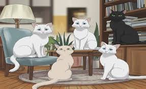 Anime:Tvsddfmwsvg= Cats