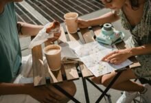 activity snapshot overview report