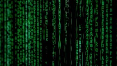 digital code audit review