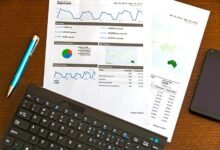 executive data summary analysis