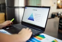 insight mapping report summary