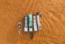 market activity summary report