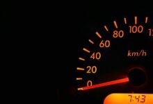 numerical identifiers for dataset