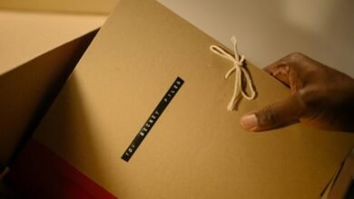 sector intelligence file summary