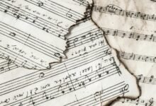 value chain analysis report